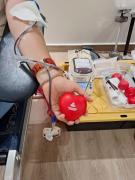 5cce99ed-136d-4254-9ff0-b062fae0e270